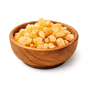 Artroflex Active — Extrait de boswellia (Boswellia serrata)