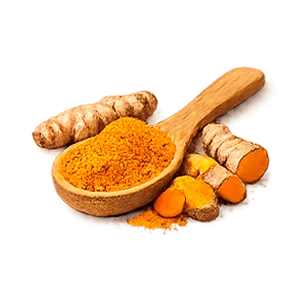 Artroflex Active — Extrait de curcuma à 10 % de curcumine (Curcuma longa)
