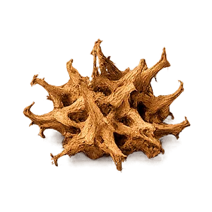 Artroflex Active — Extrait de griffe du diable (Harpagophytum procumbens)
